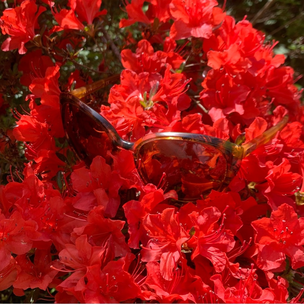 Ralph Lauren Sunglasses Tortoiseshell Acetate Frames Oversized